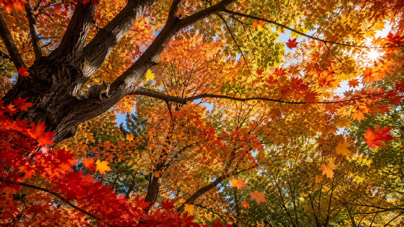 Autumn forest canopy AI nature photography prompt — 4K fall foliage scene
