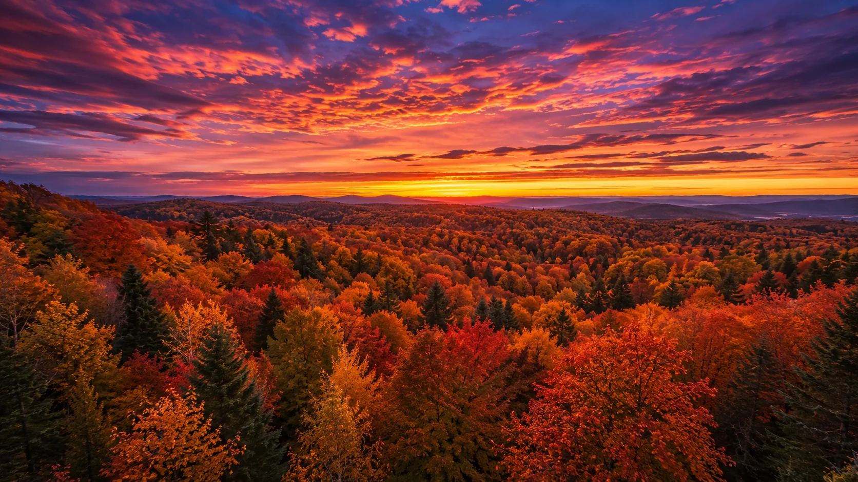 Dramatic orange and purple sunset over a dense canopy of autumn treetops &mdash; fall AI image prompt