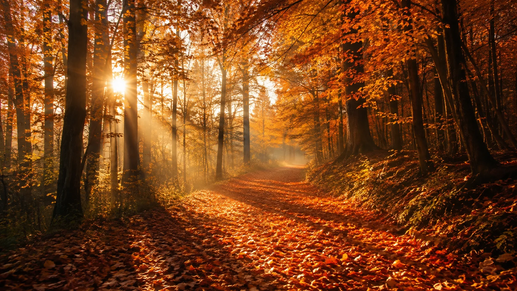 Orange forest path covered in fallen autumn leaves at golden hour &mdash; fall AI image prompt